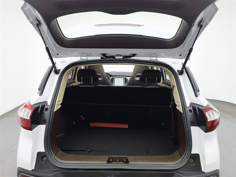 Leopaard Cheetah CS9