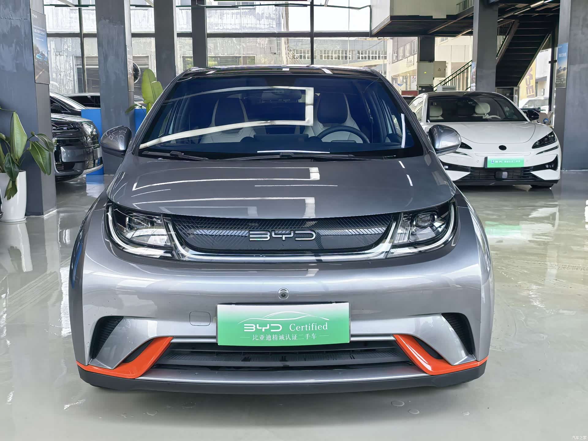 BYD Dolphin, 2022 2