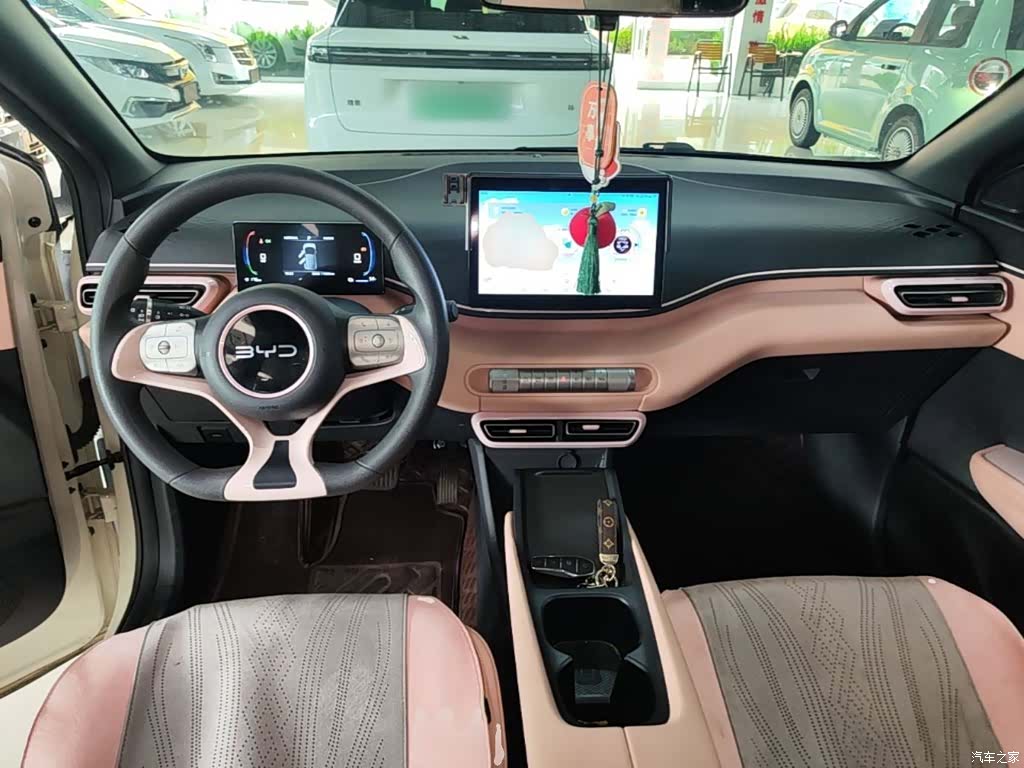 BYD Seagull, 2024 10