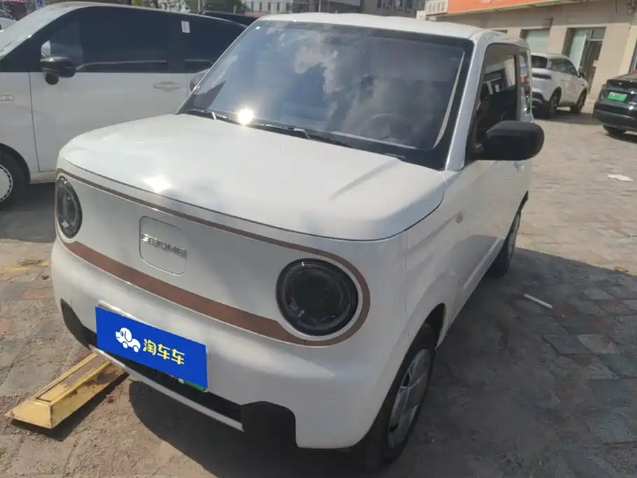 Geely Galaxy panda