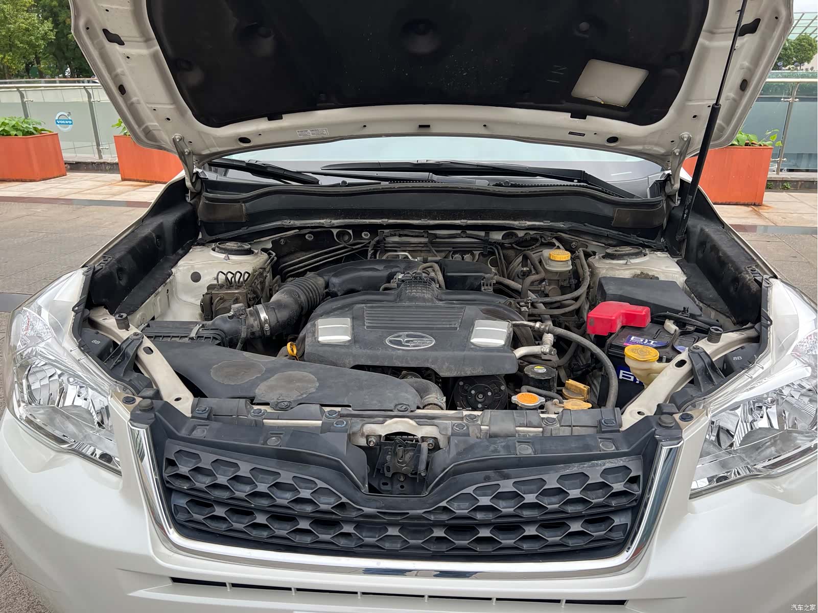 Subaru Forester, 2014 7