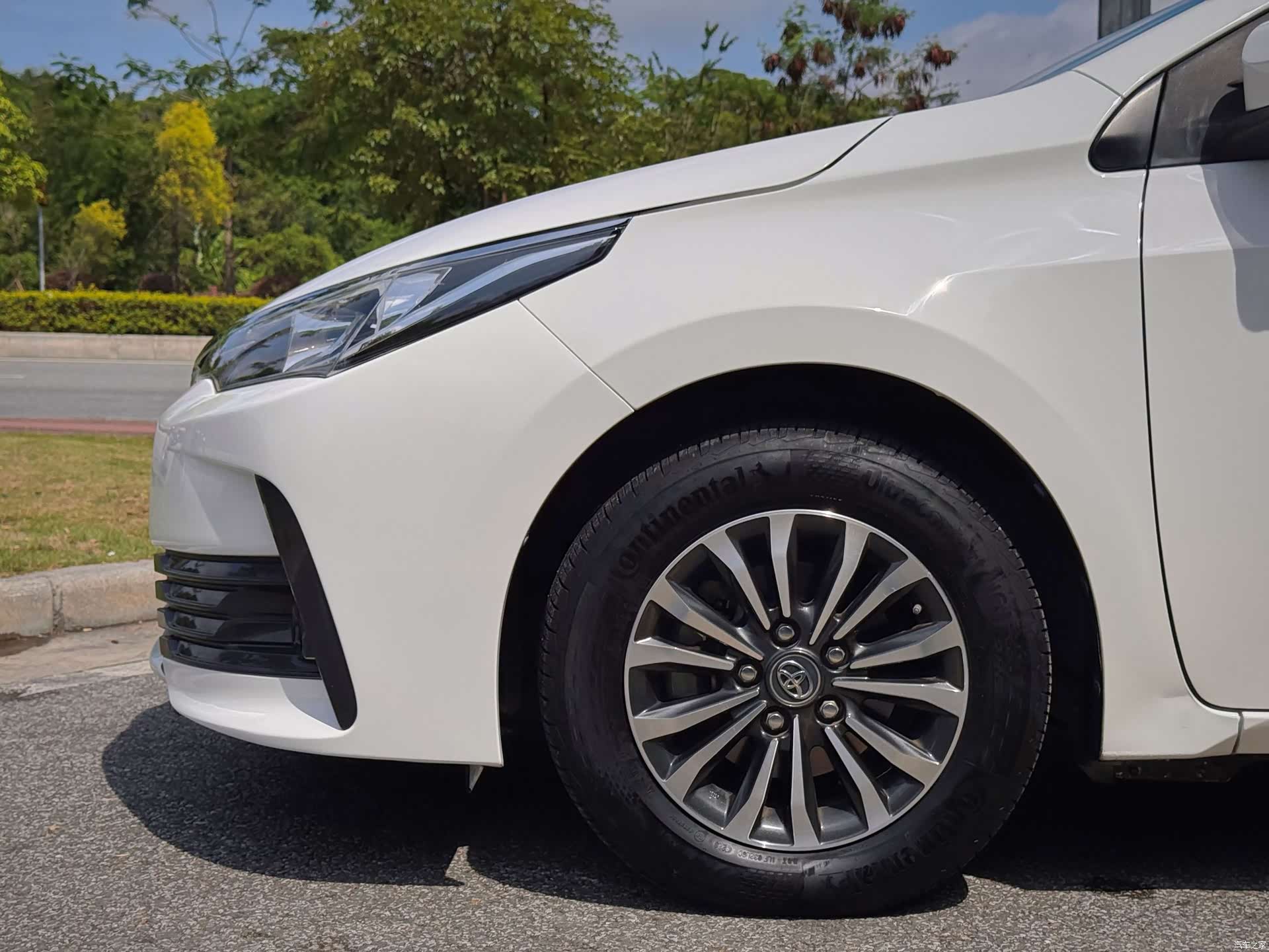 Toyota Corolla, 2019 все фото