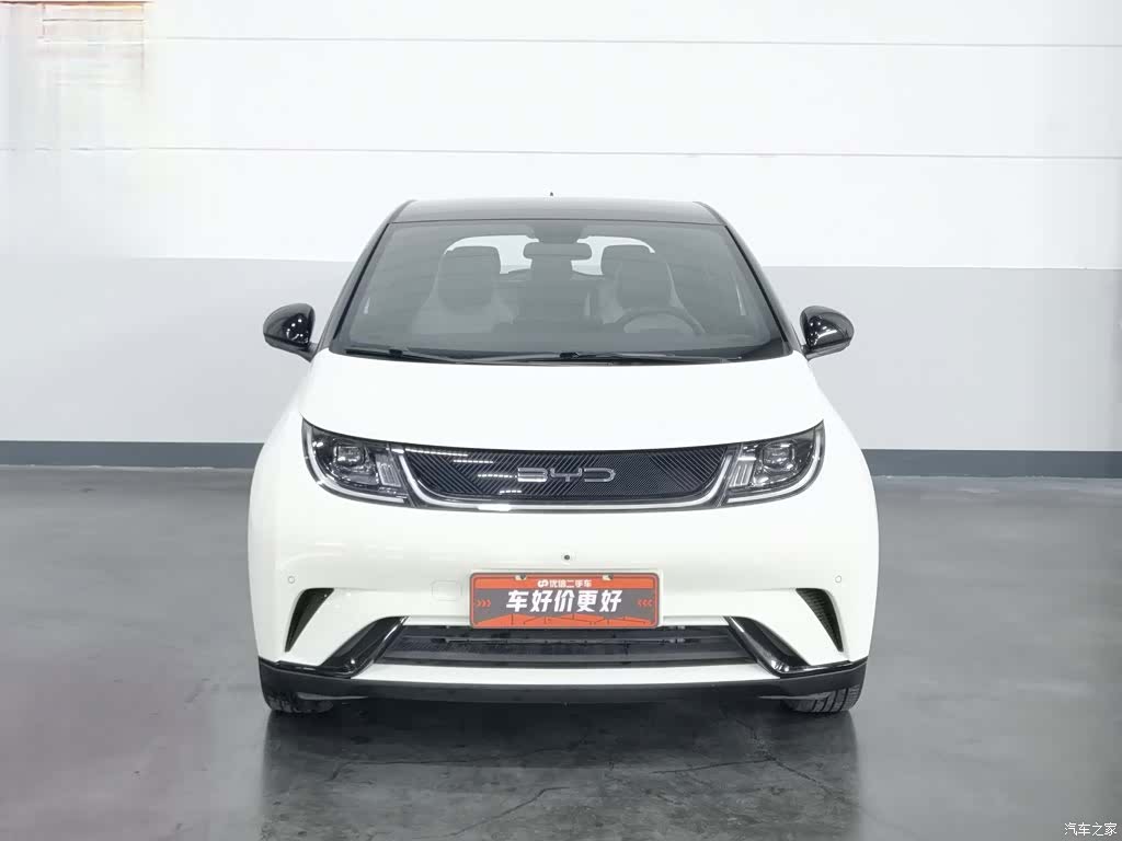 BYD Dolphin, 2023 3