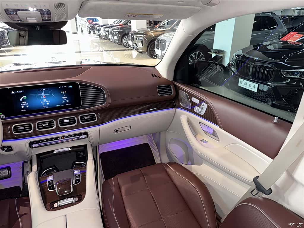Maybach GLS, 2021 13
