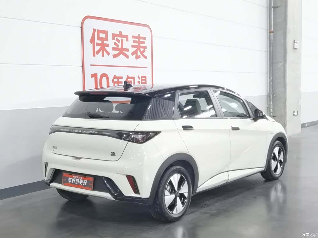 BYD Dolphin, 2023 2