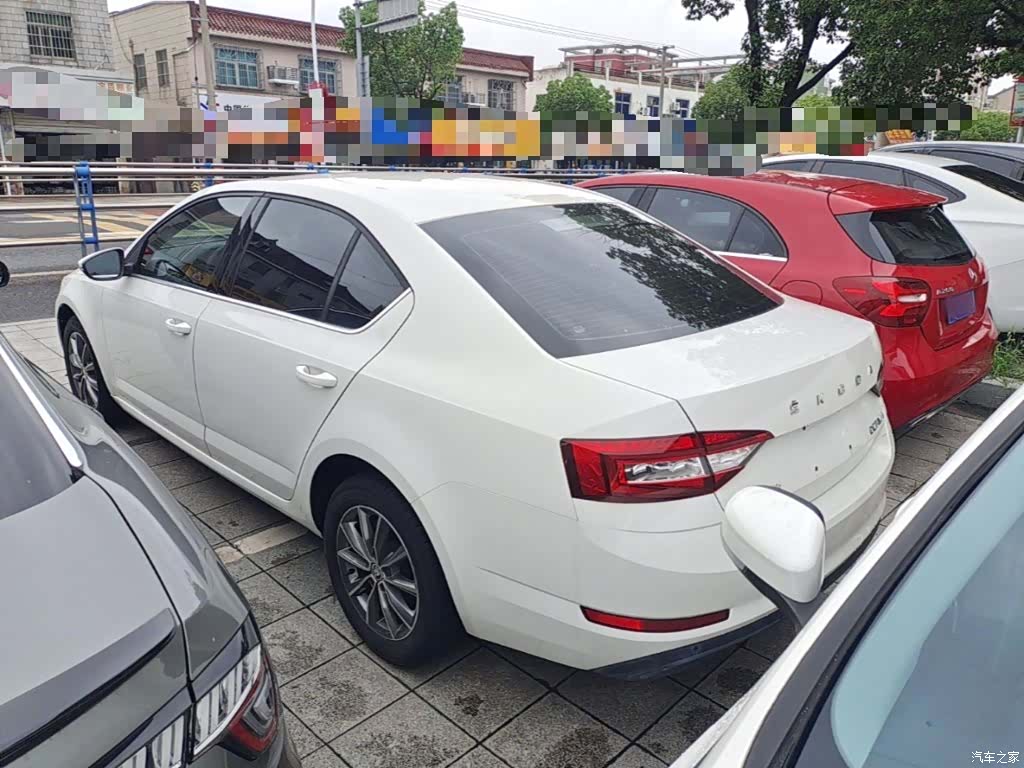 Skoda Octavia, 2022 все фото