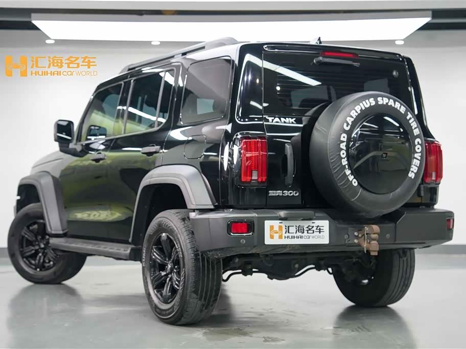 Tank 300