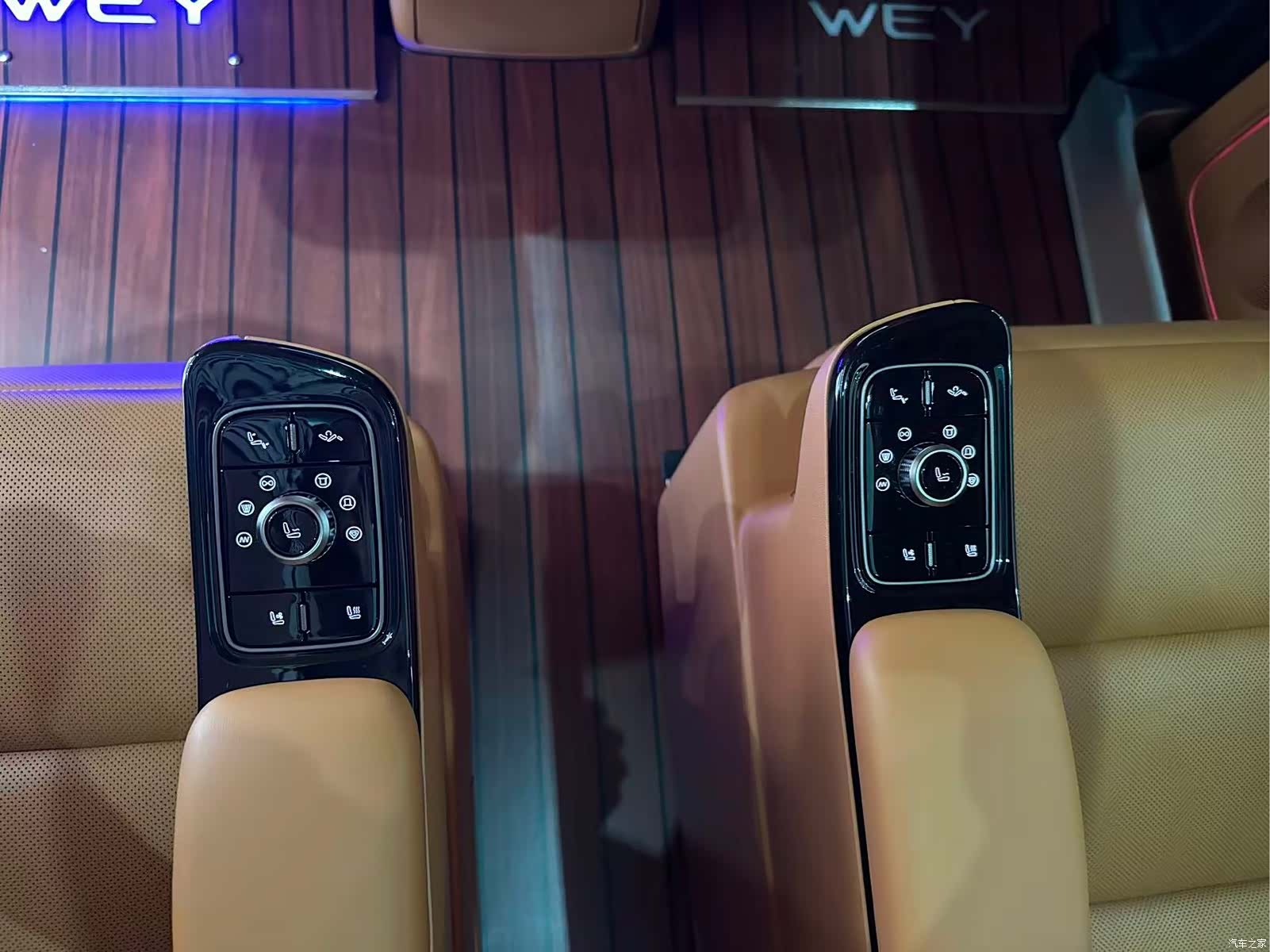 WEY Gaoshan, 2025 21