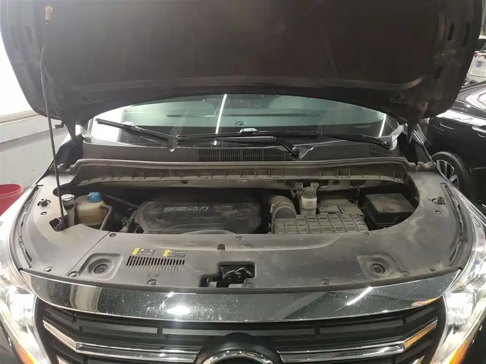 Trumpchi Trumpchi M8