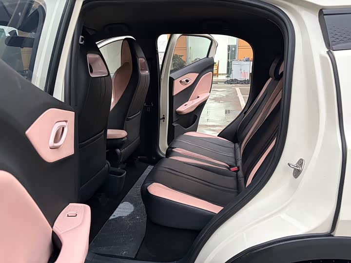 BYD Seagull 2023 zi you ban