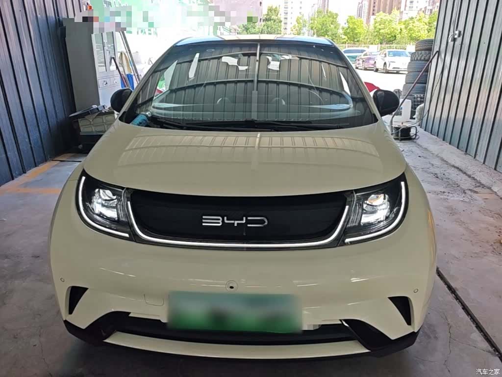 BYD Dolphin, 2024 3