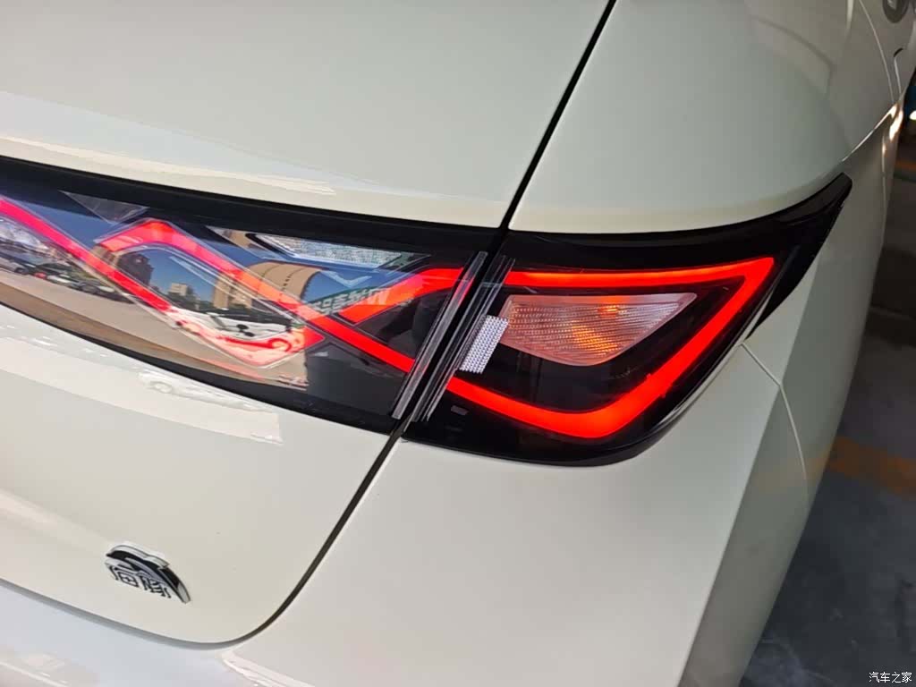 BYD Dolphin, 2024 8