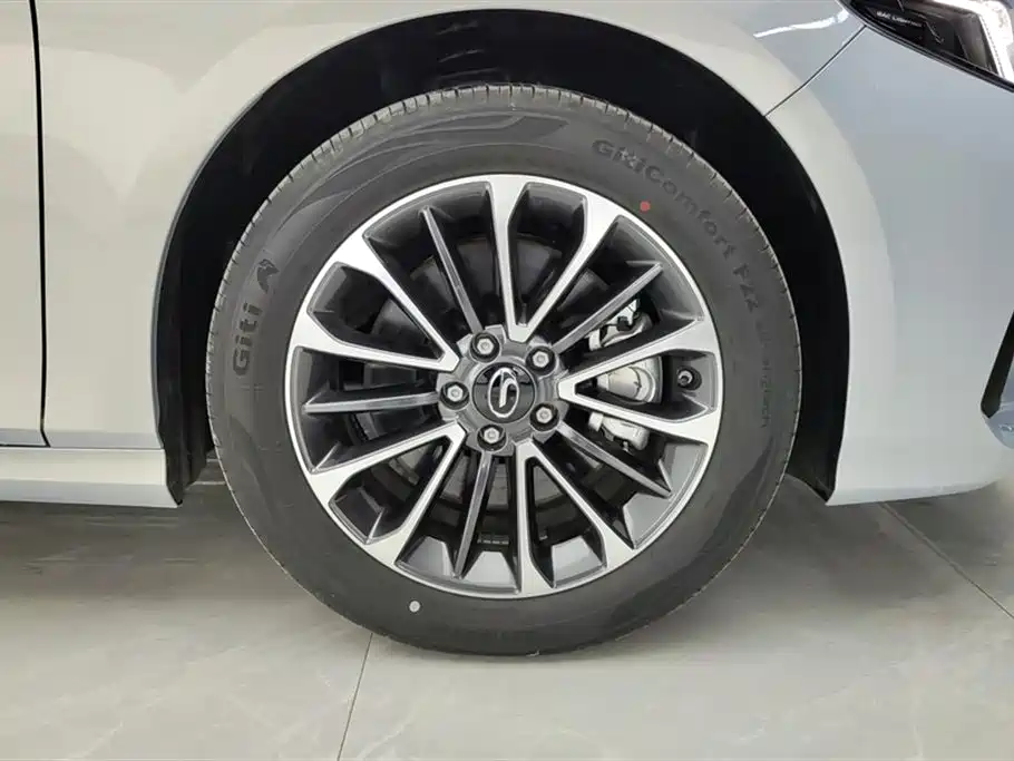 Trumpchi Shadow Leopard