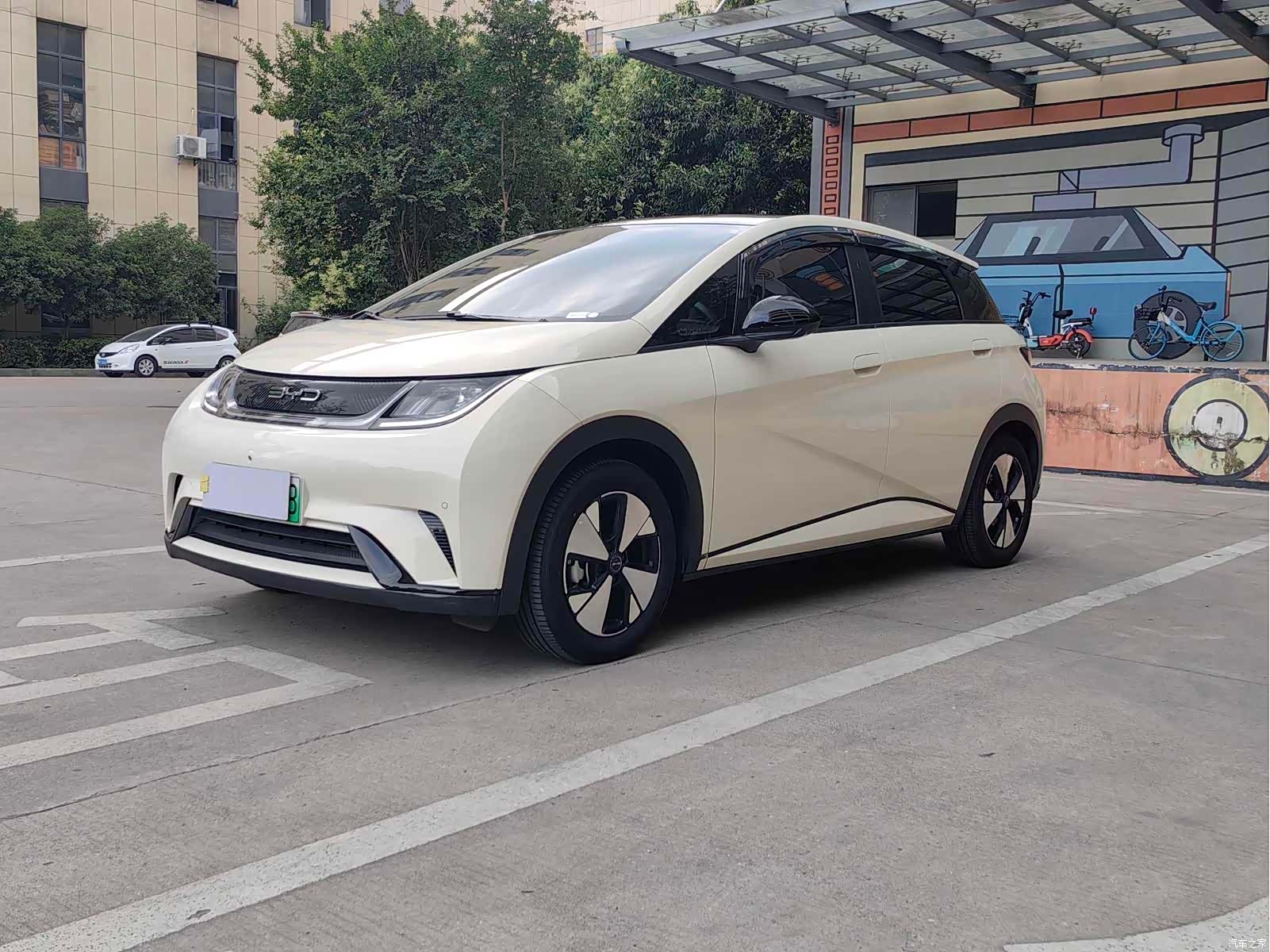 BYD Dolphin, 2024 1