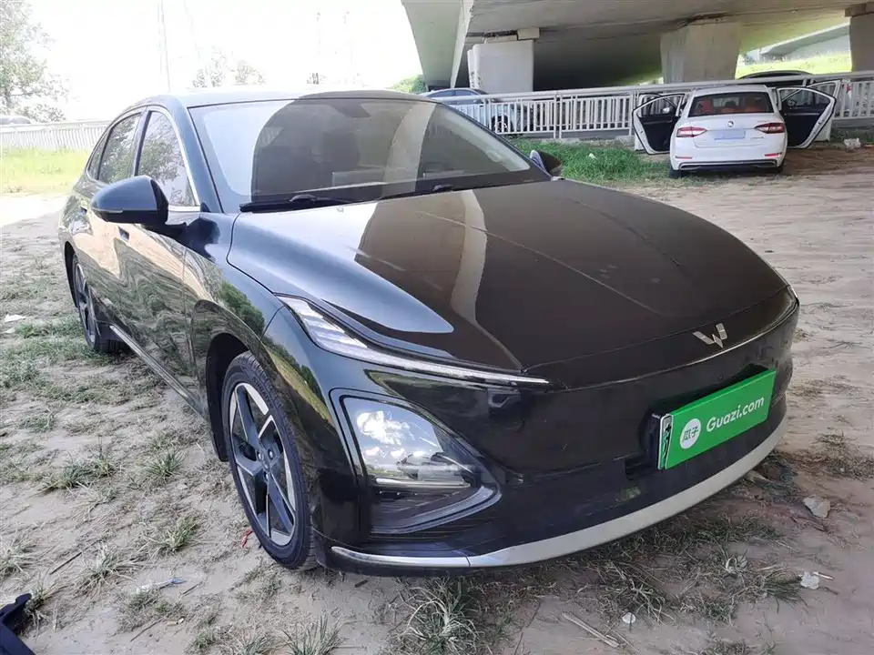 Wuling Wuling Starlight