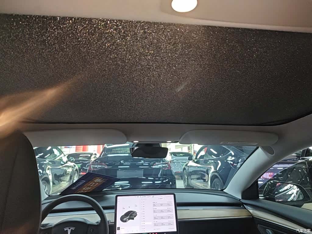 Tesla Model 3, 2021 18