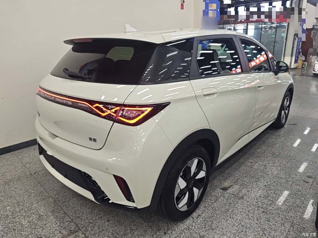 BYD Dolphin, 2024 7