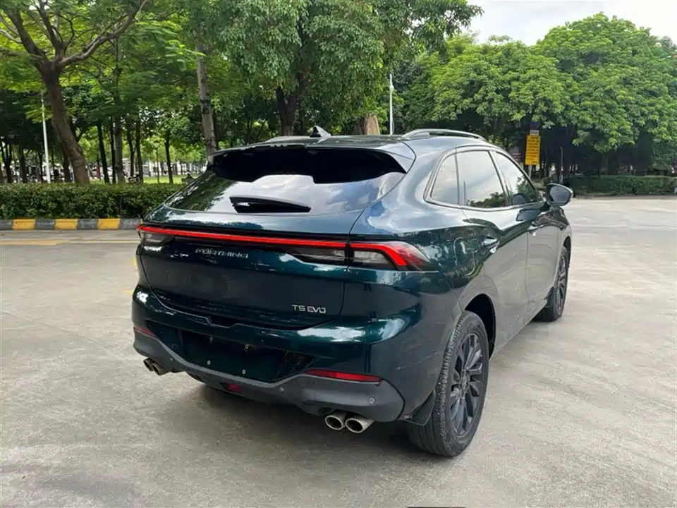 Forthing Popular T5 EVO