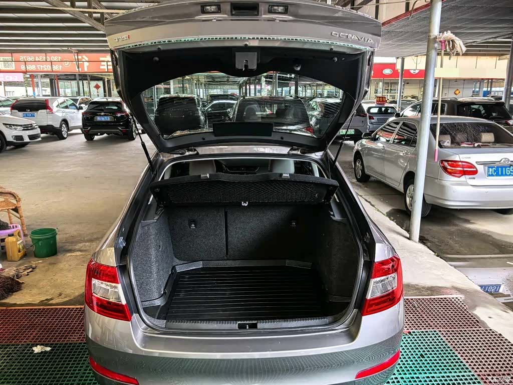 Skoda Octavia, 2014 12