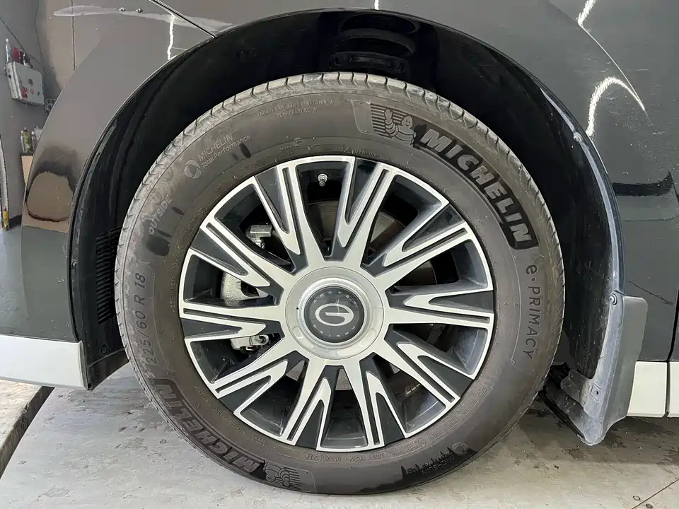 Trumpchi Trumpchi E9