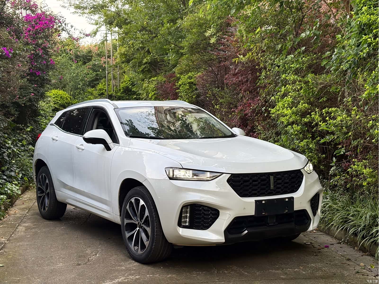 WEY VV7, 2017 2