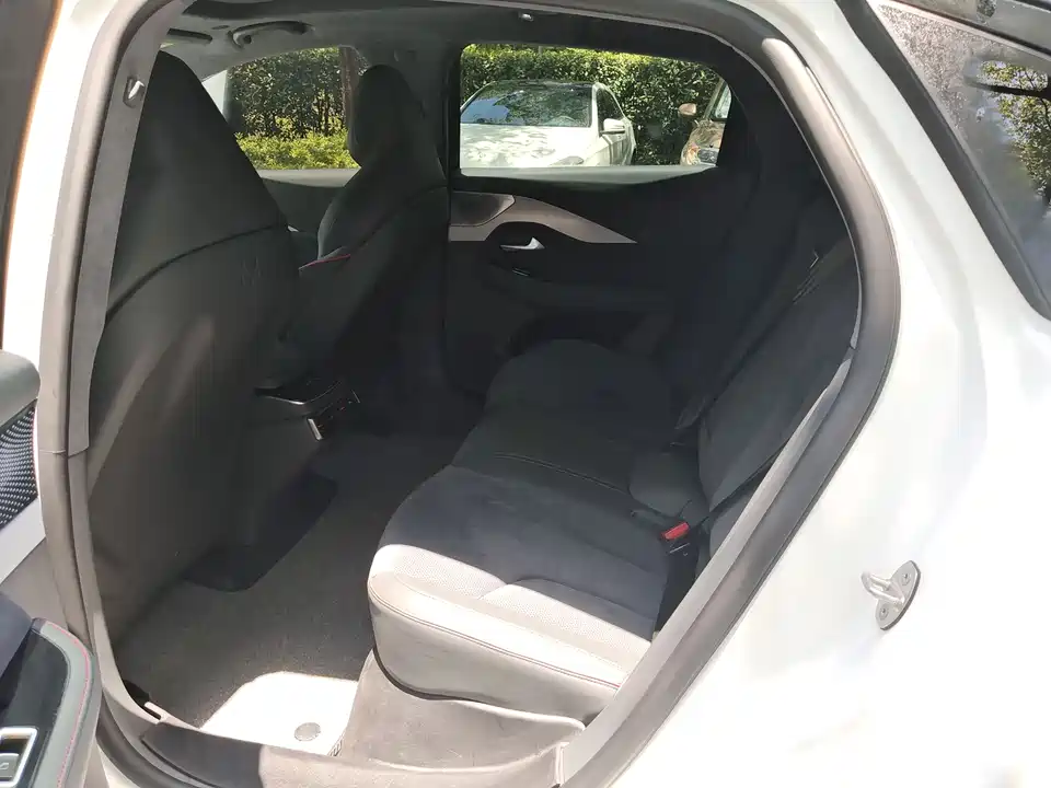 ARCFOX Polar Fox Alpha S