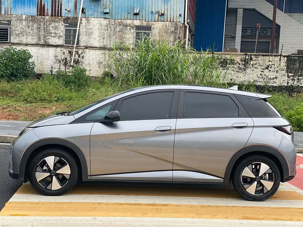 BYD Dolphin, 2024 14