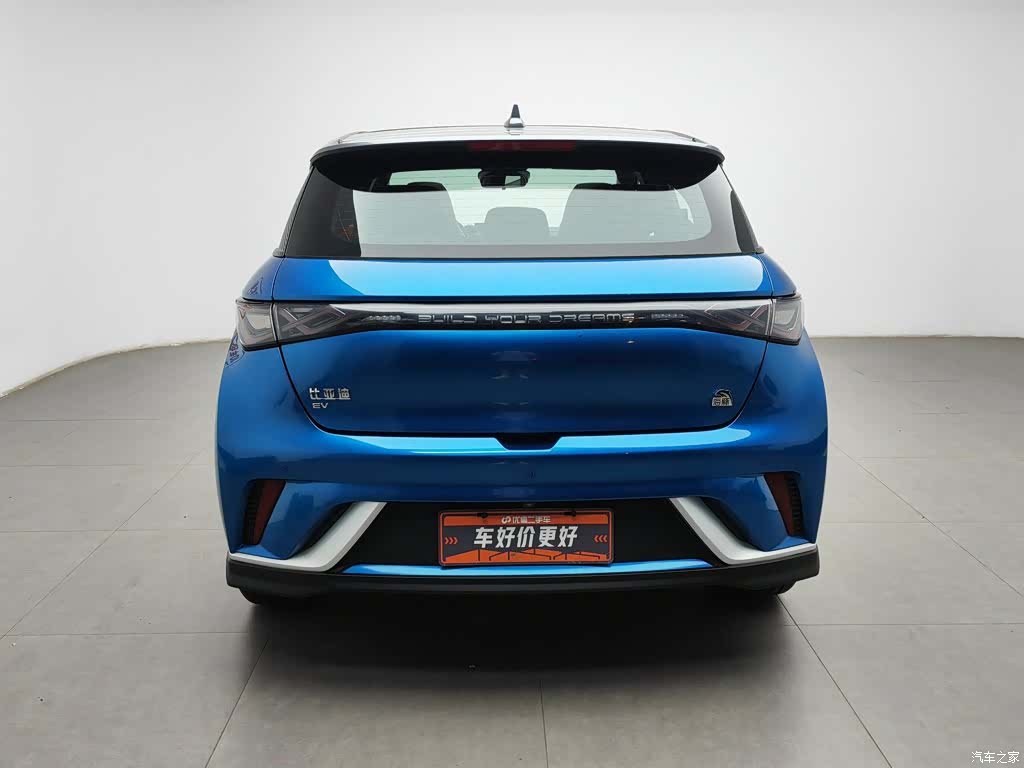 BYD Dolphin, 2022 4