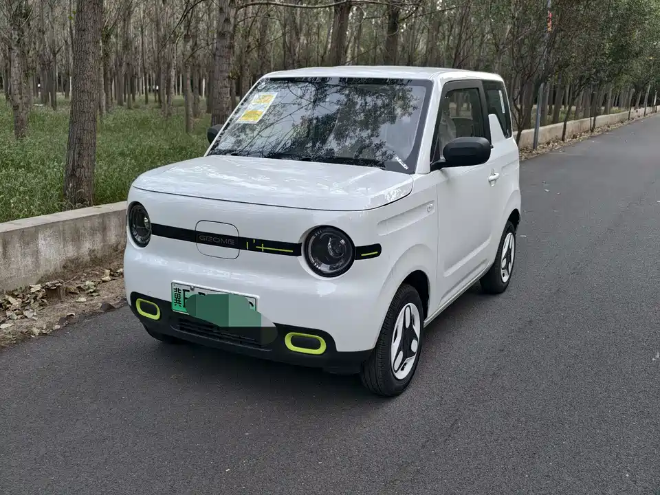 Geely Galaxy panda