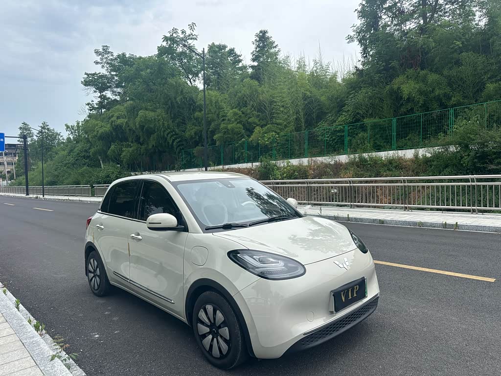 Wuling Binguo