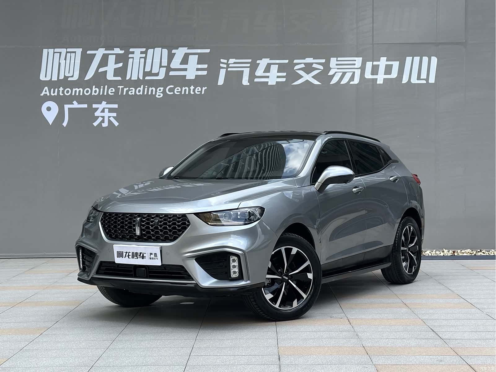 WEY VV5, 2020 1