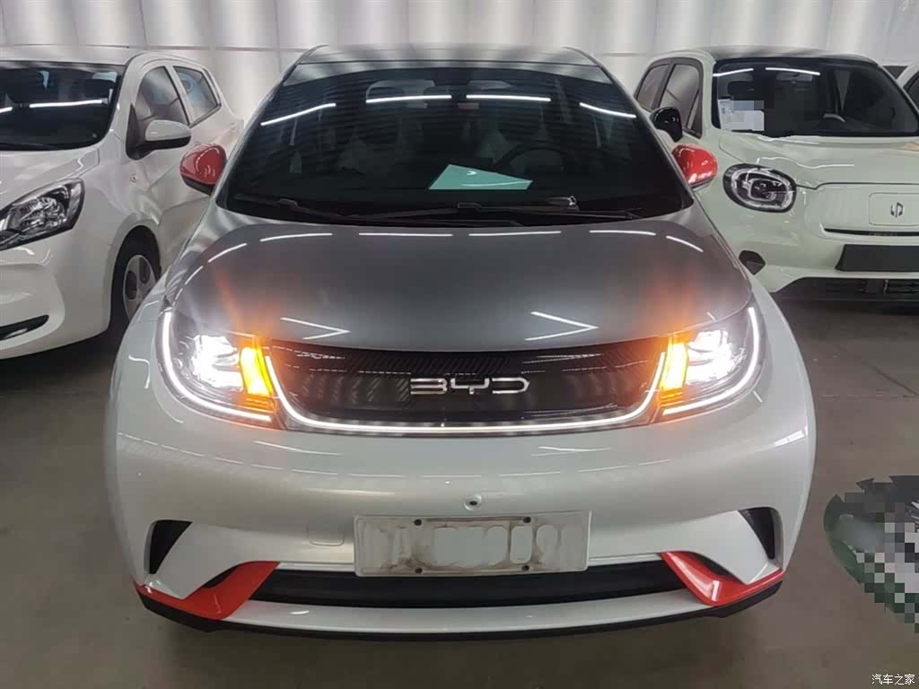 BYD Dolphin, 2021 3