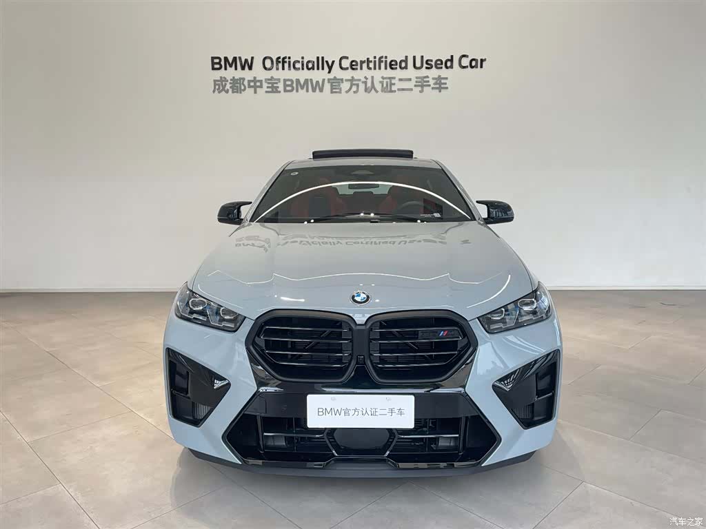 BMW X6, 2025 4
