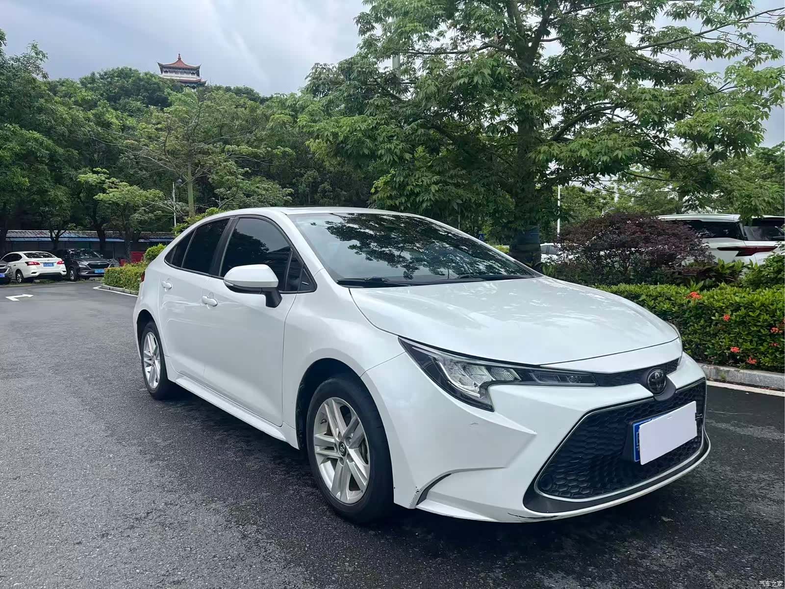 Toyota Levin, 2020 1