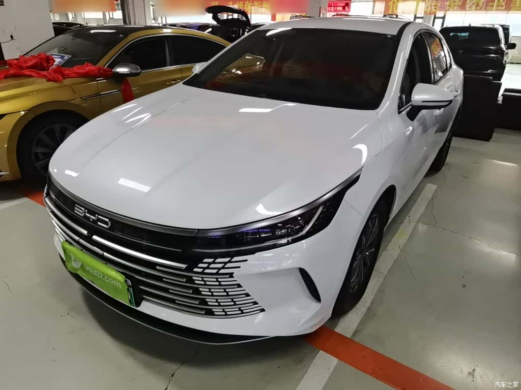 BYD Destroyer 05, 2024 2