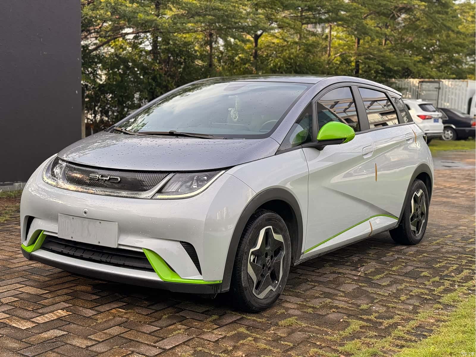 BYD Dolphin, 2022 1