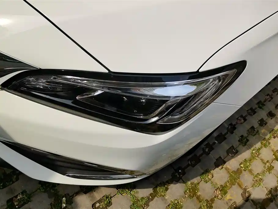Buick Weilang