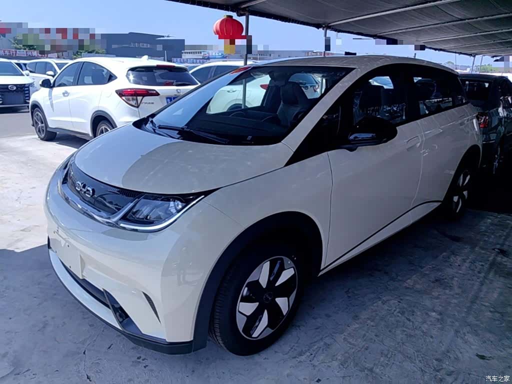 BYD Dolphin, 2026 2