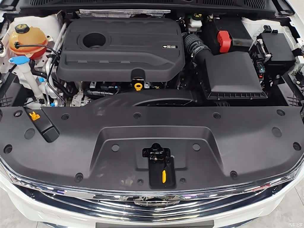 Geely Binray, 2020 20