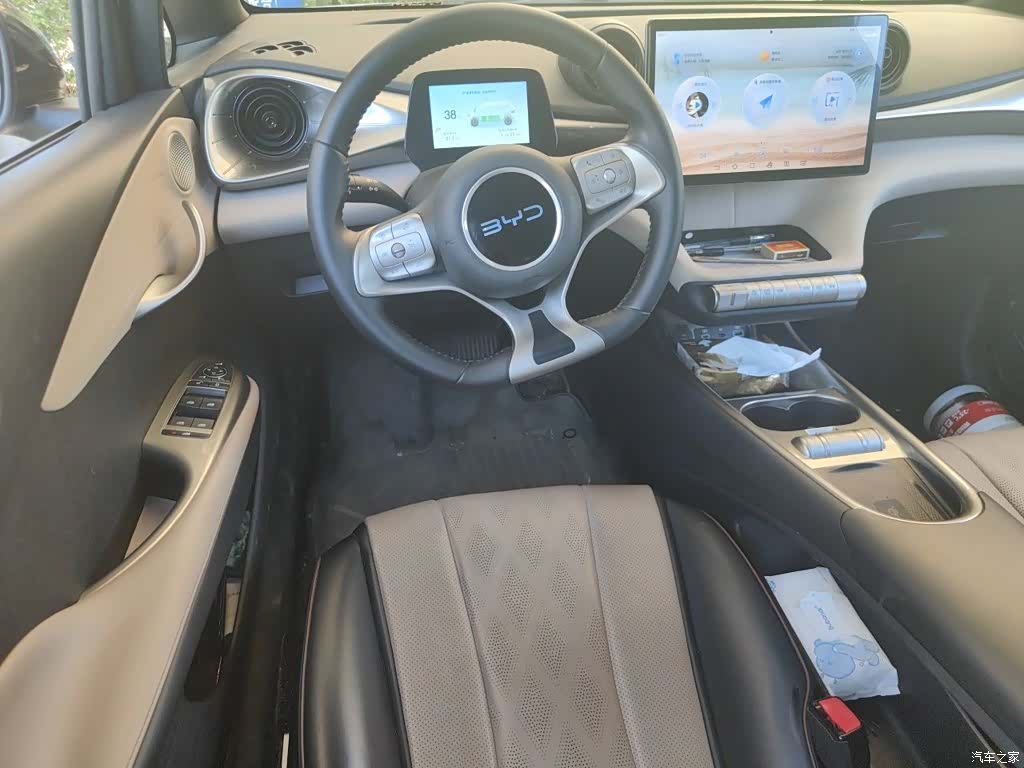 BYD Dolphin, 2025 6