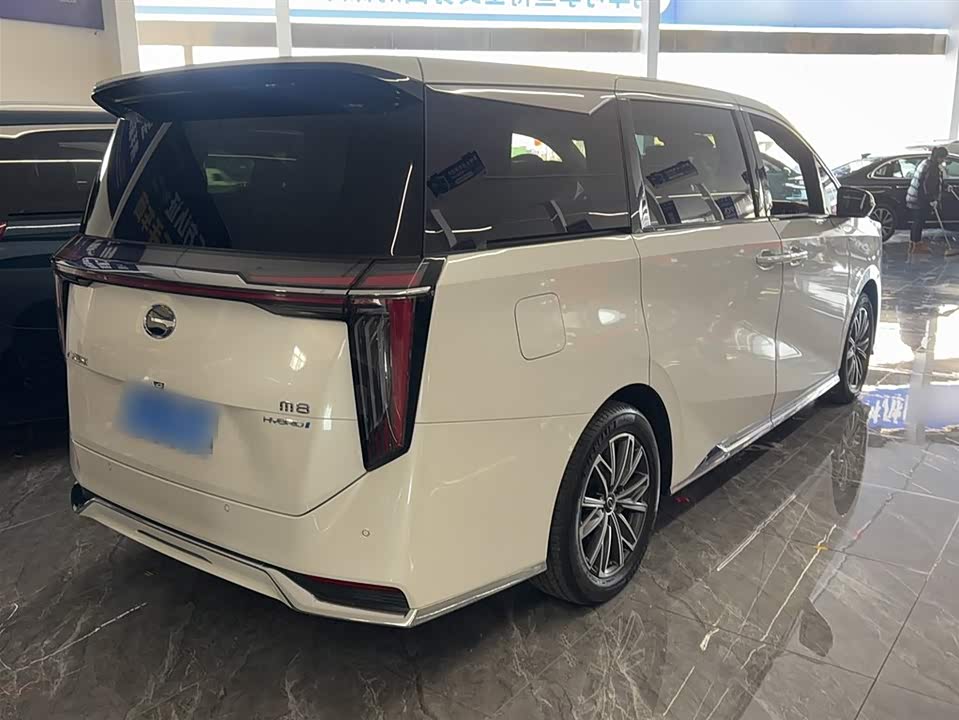 Trumpchi Trumpchi M8