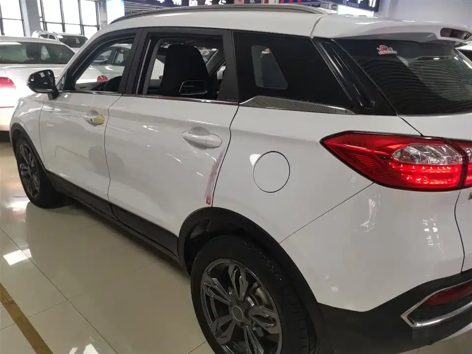 Leopaard Cheetah CS9