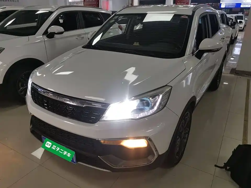 Leopaard Cheetah CS9