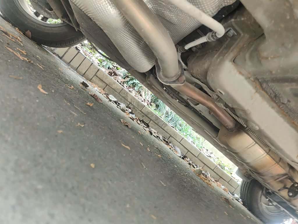Bisu T3, 2019 17