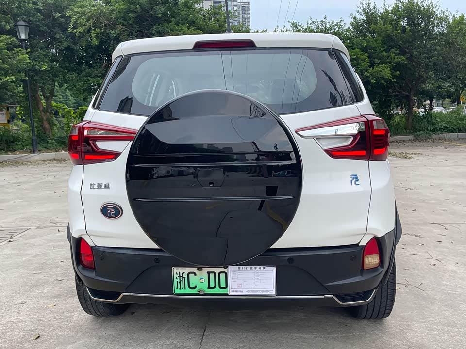 BYD Yuanxin Energy