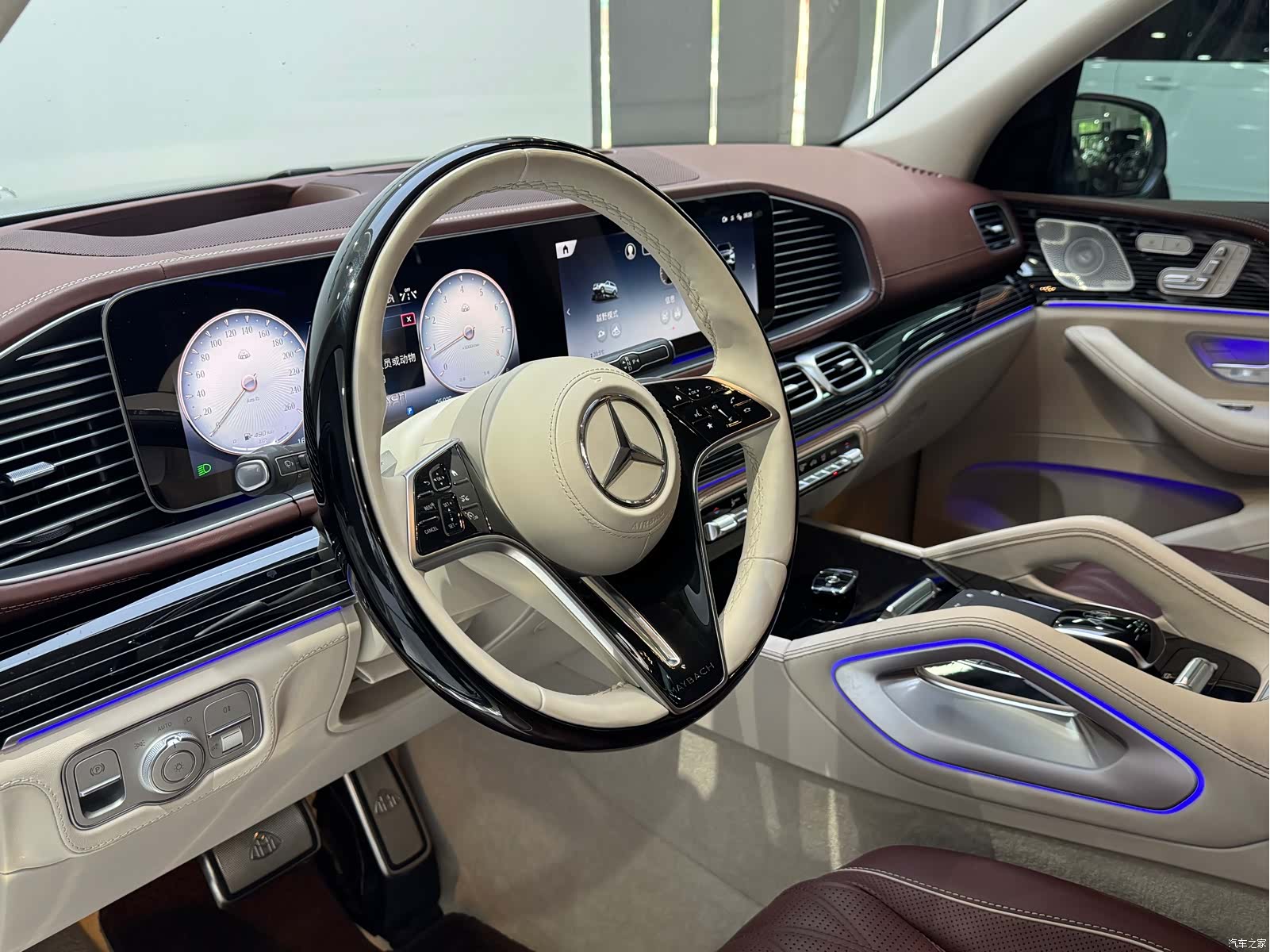 Maybach GLS, 2024 8