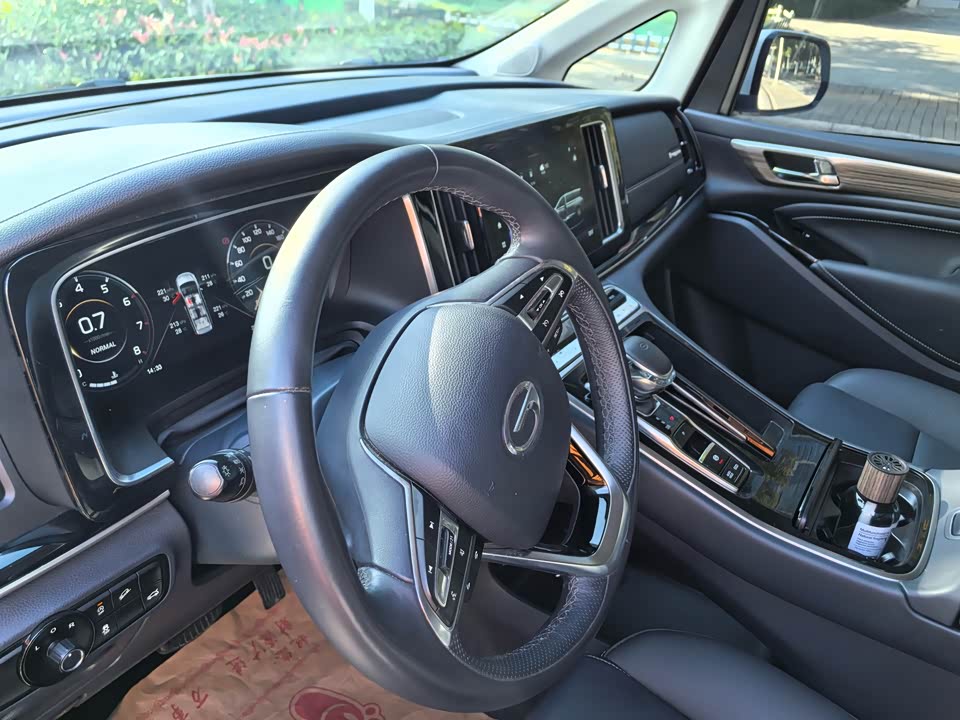 Trumpchi Trumpchi M8