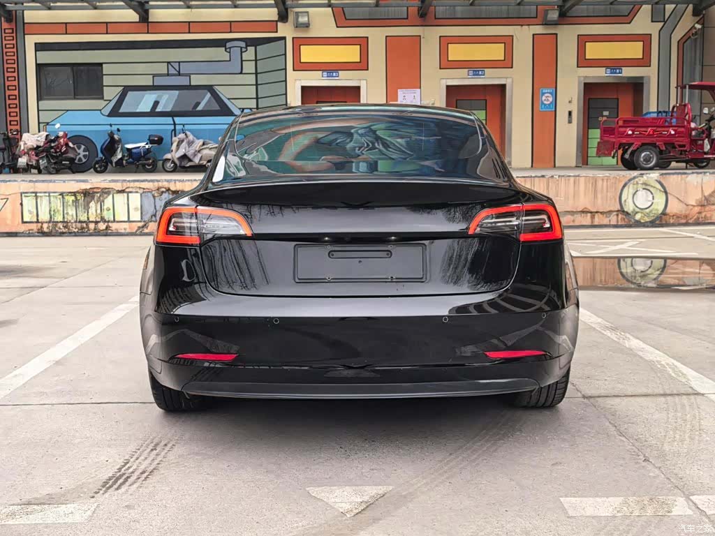 Tesla Model 3, 2021 18