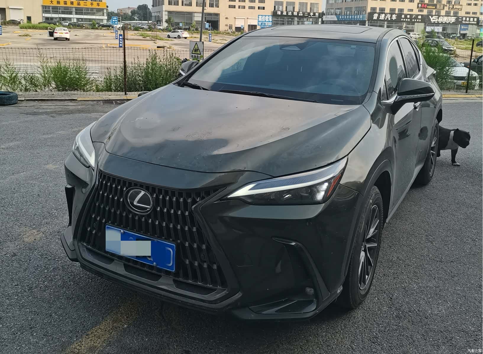Lexus NX, 2022 1
