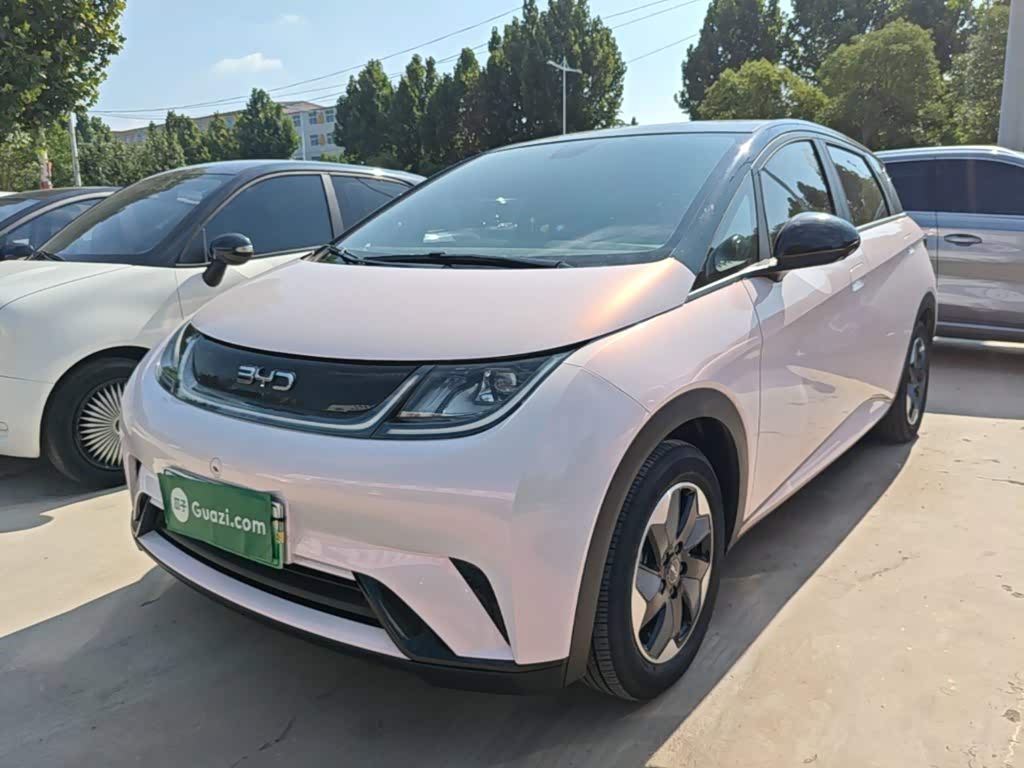 BYD Dolphin